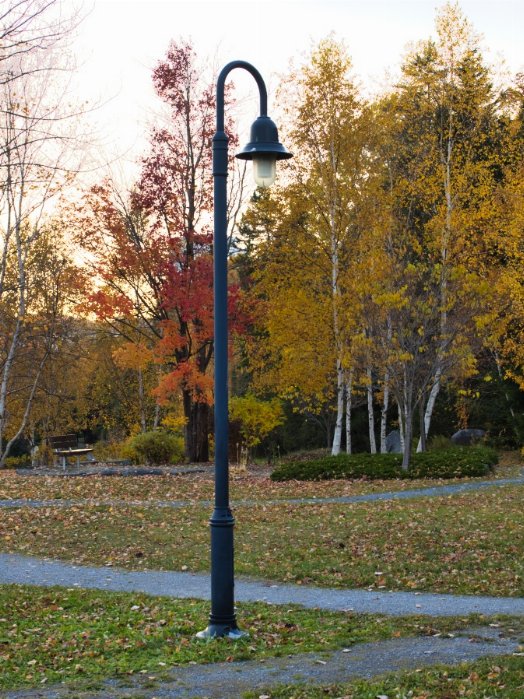 Park Lantern - Newfoundland art print