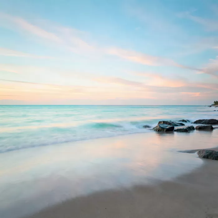 Dusk Tide II