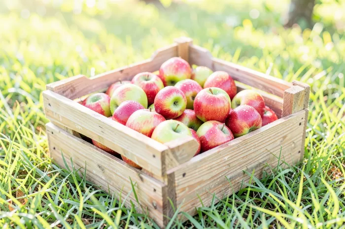 Apple Crate