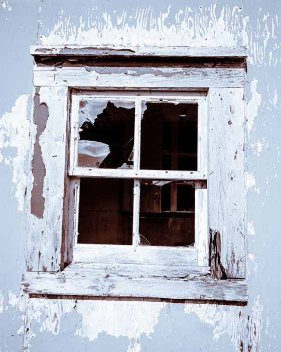 A Blast From the Past - Newfoundland art print