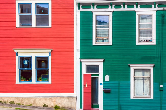 Two Jellybeans - Newfoundland art print