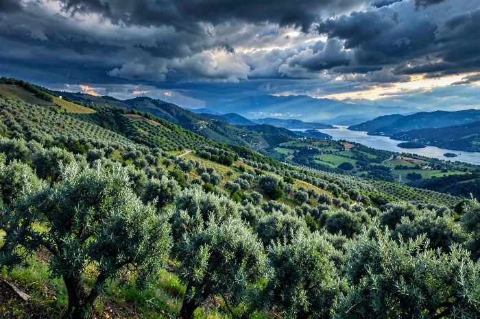 Garda Groves