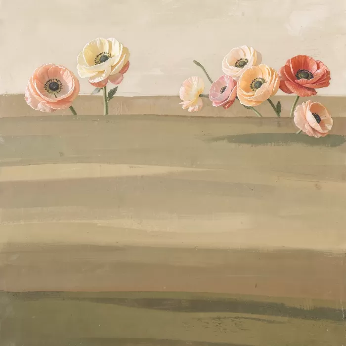 Ranunculus Horizon