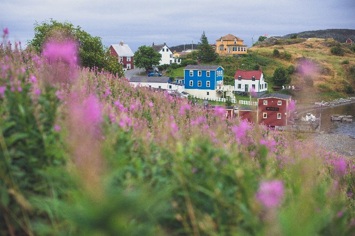 Through Fields - Newfoundland art print