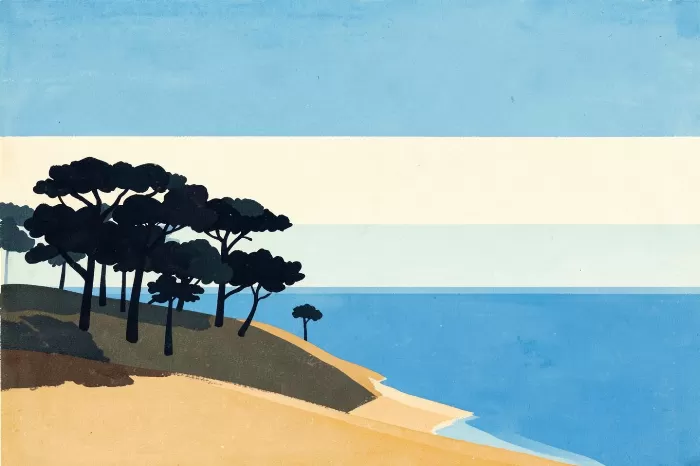 Coastal Bluff