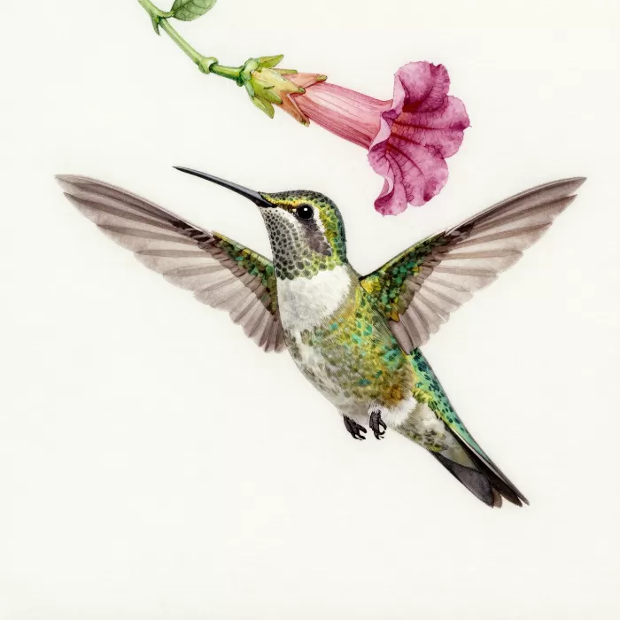 Hovering Jewel