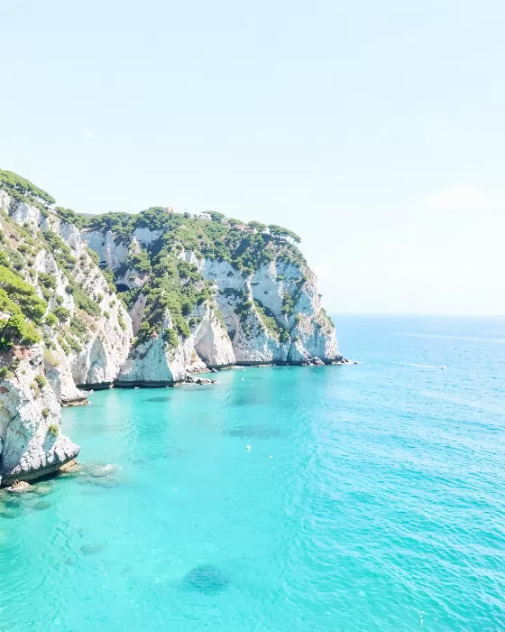 Cinque Terre Morning