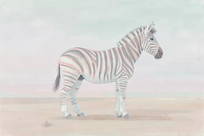 Soft Zebra