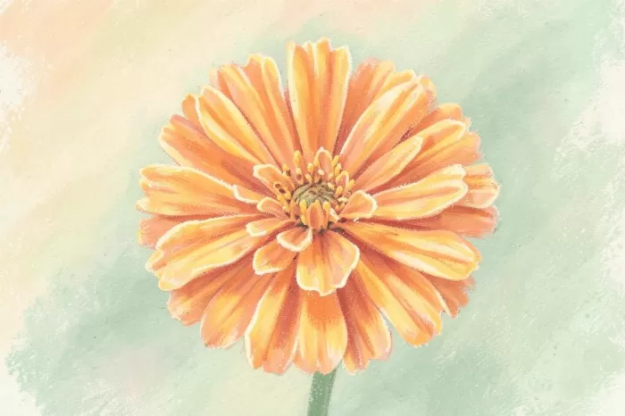 Golden Marigold