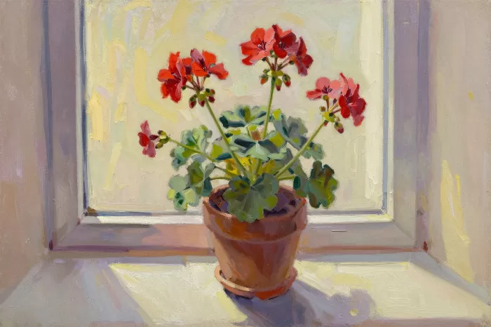 Windowsill Warmth