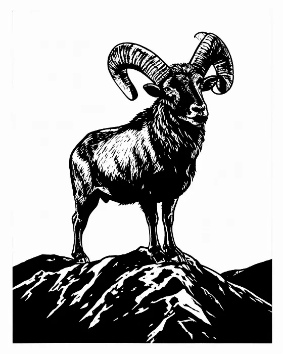Ridge Ram