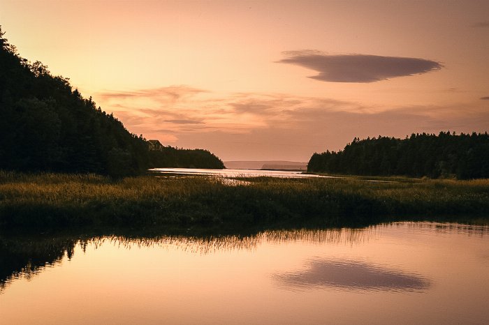 Evening Retreat - Newfoundland art print