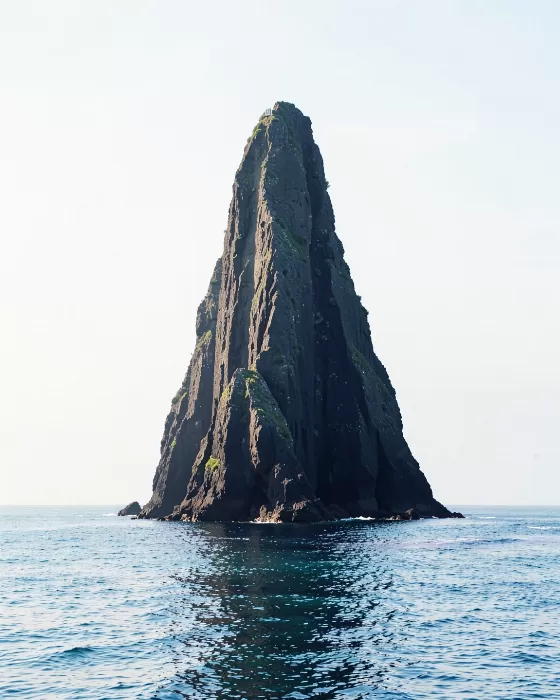 Rock Sentinel