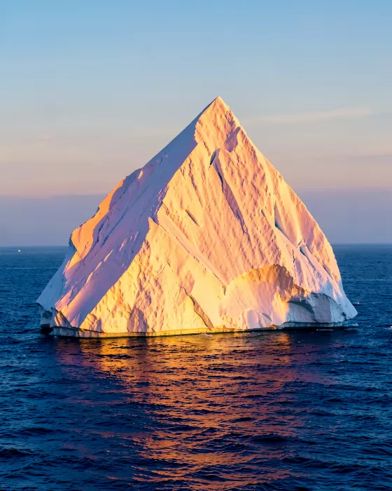 Rose Current