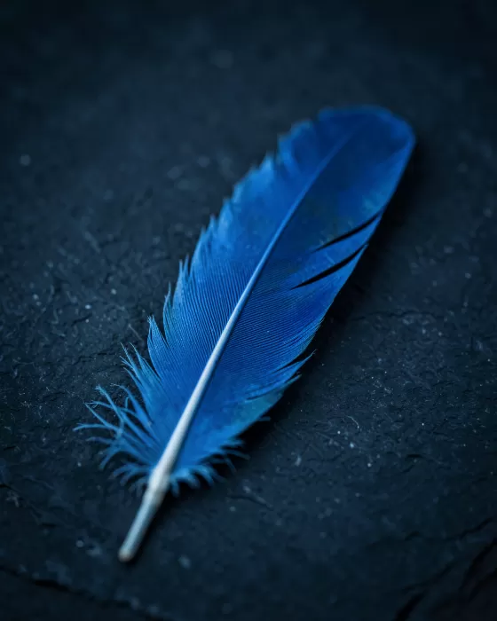 Feathered Blue