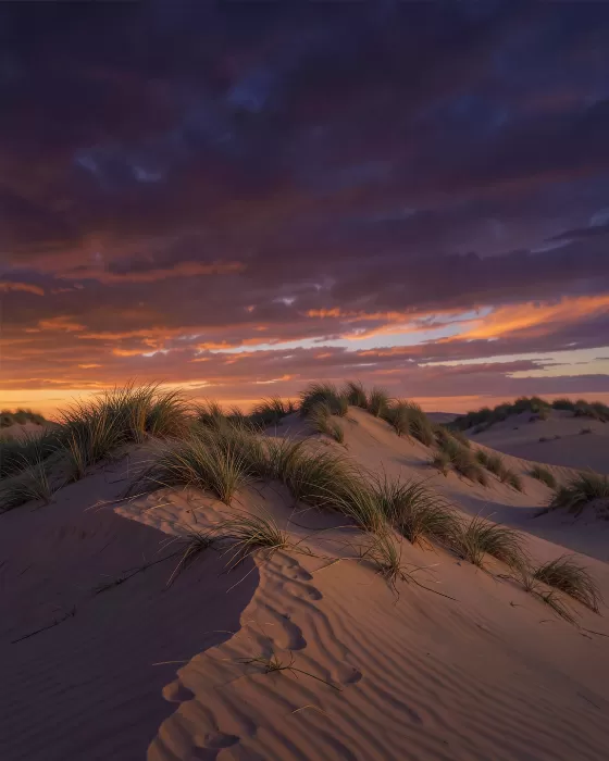 Sculpted Sand