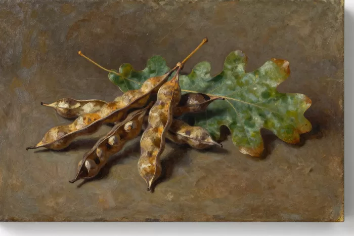 Seed Fall