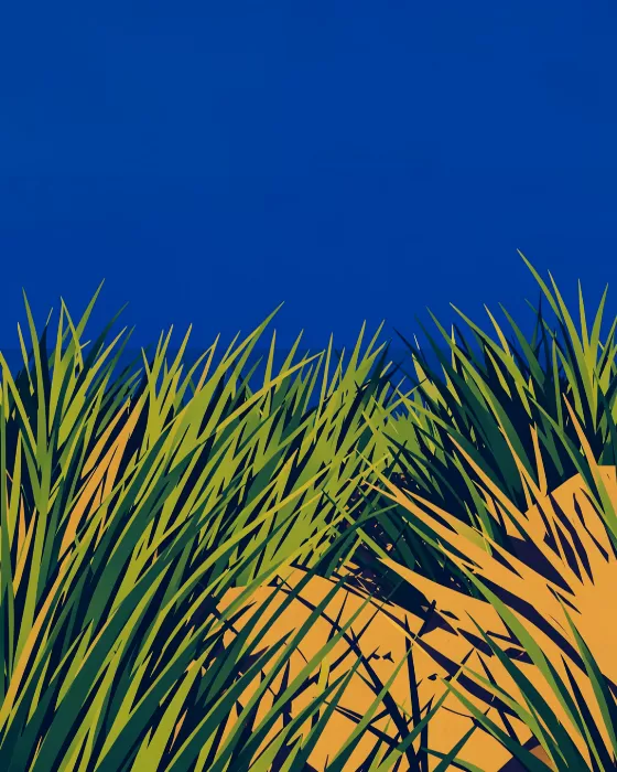 Dunes Grass