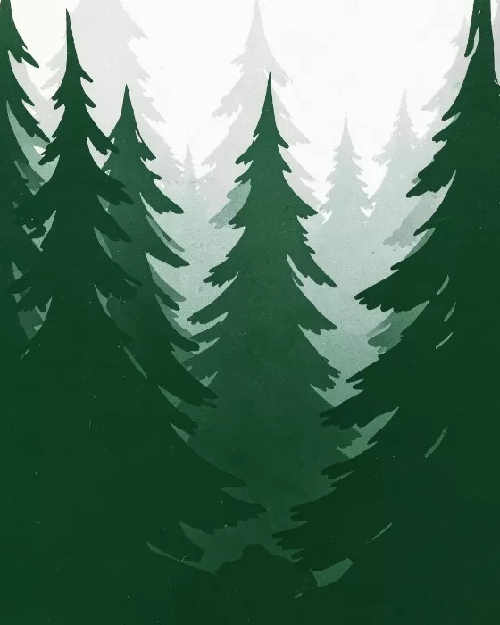 Forest Ridges