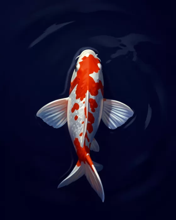 Koi Suspended