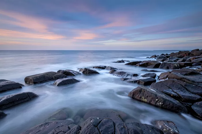 Acadia Shore