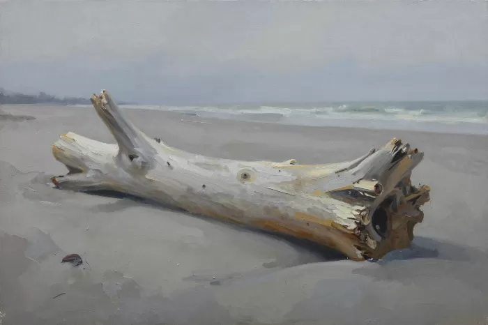 Driftwood Log