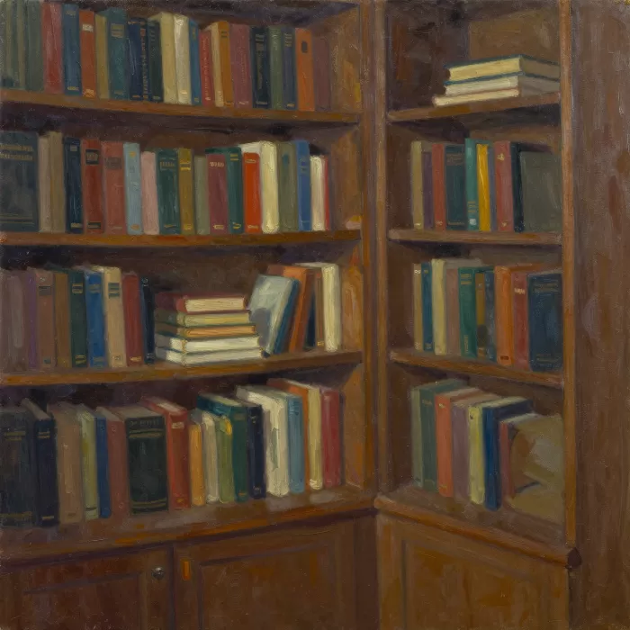 Cozy Bookshelf