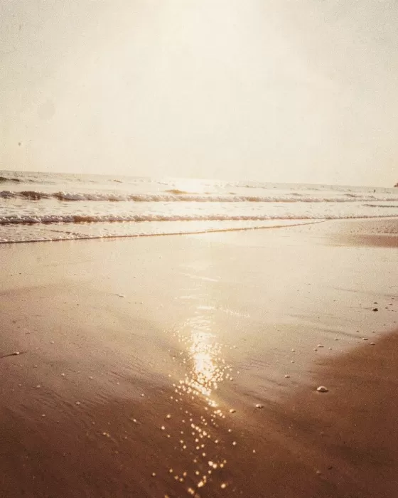 Pacific Tide