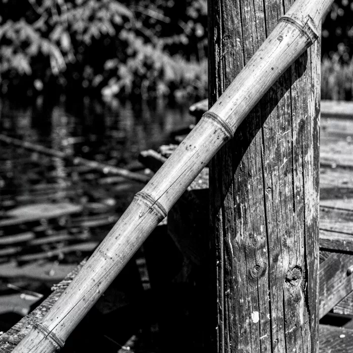 Dock Days