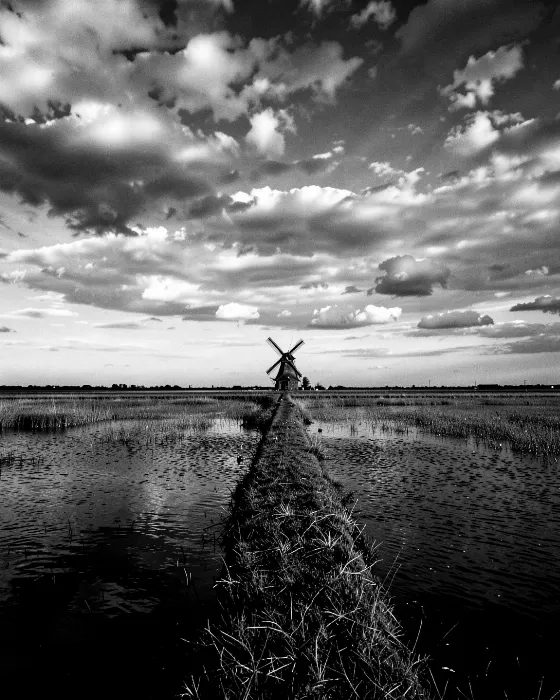 Wide Fen