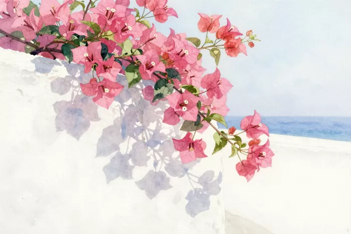Cycladic Bloom