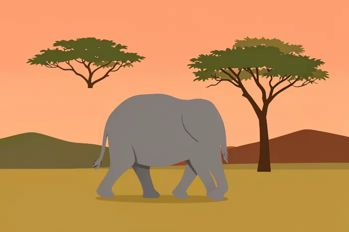Savanna Stroll