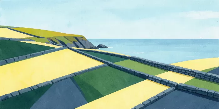 Dingle Fields