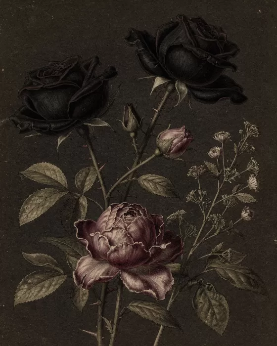 Black Roses
