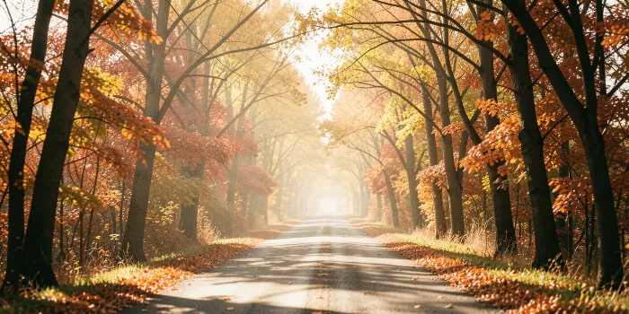 Amber Tunnel