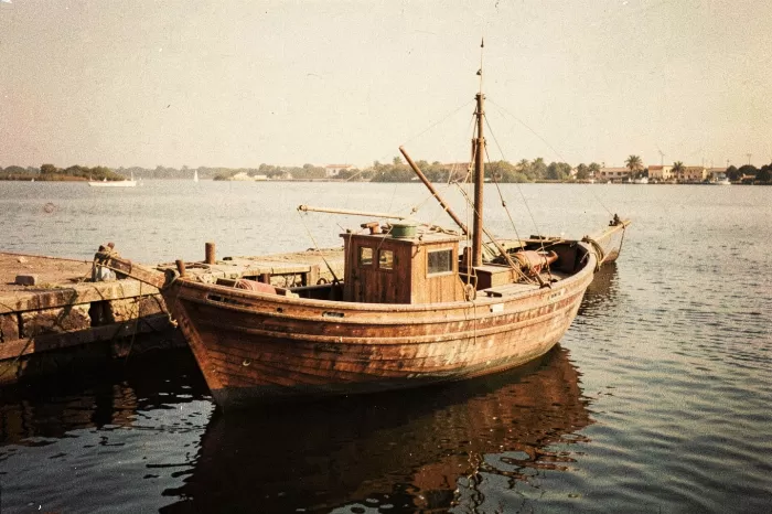 Driftwood Days