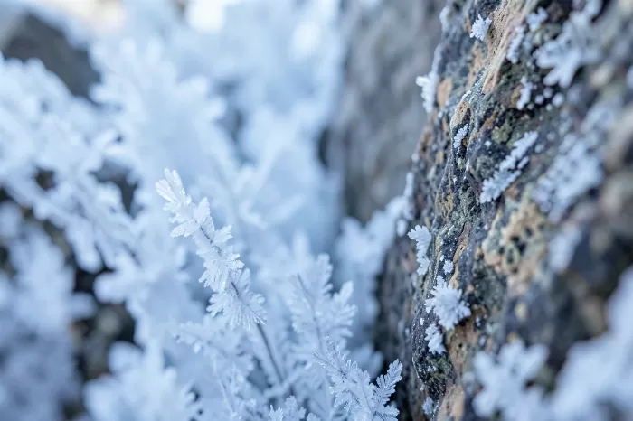 Frosted Granite