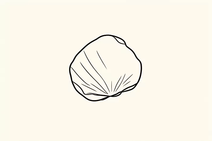 Lone Conch