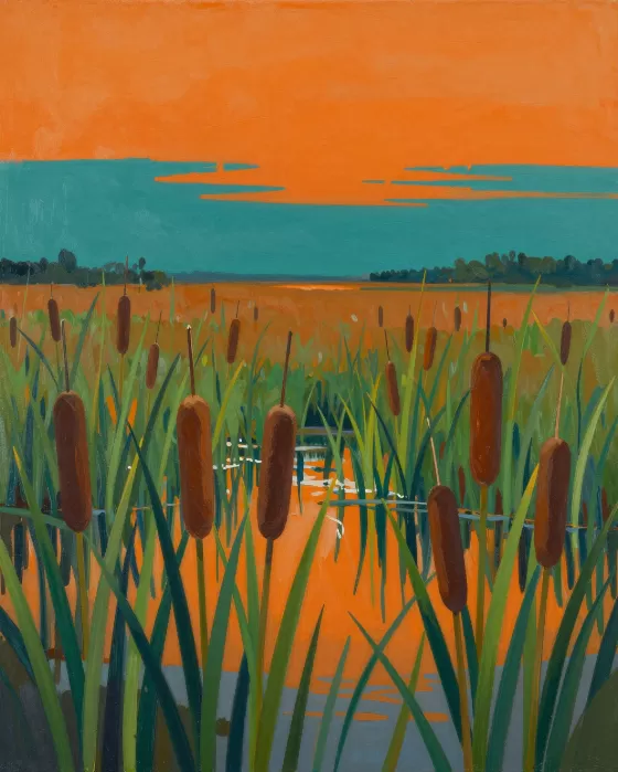 Dawn Cattails