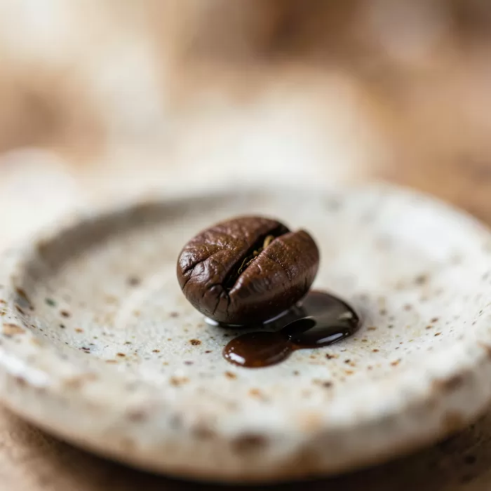Bean Study
