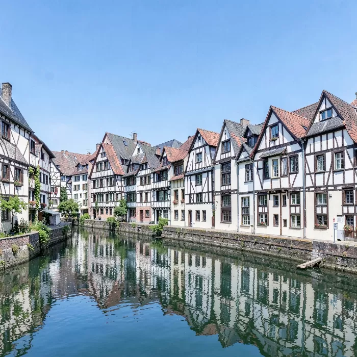 Timbered Reflection