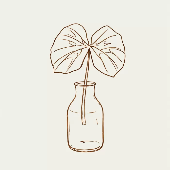 Single Monstera