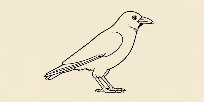 Raven Ink