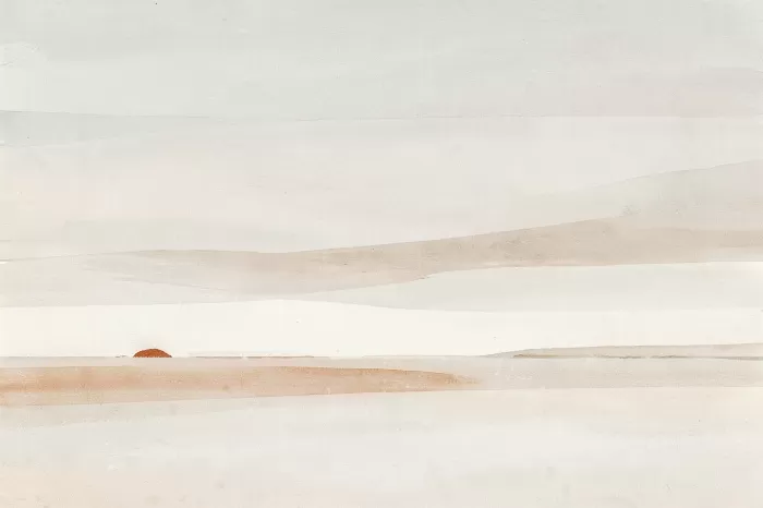 Salt Flat
