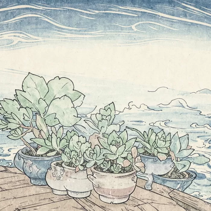 Succulent Veranda