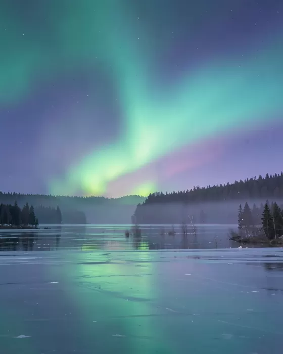 Polar Trails