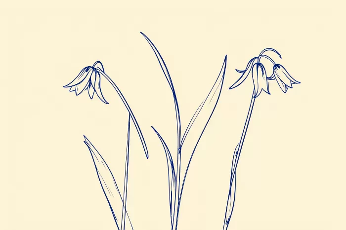 Bluebell Stems
