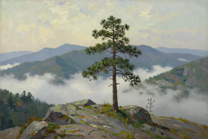 Valley Mist