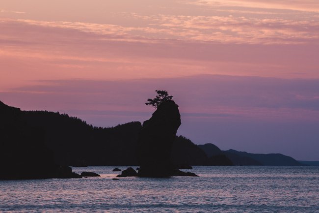 Harmony - Newfoundland art print