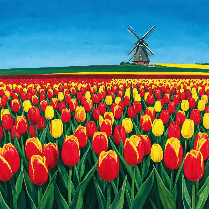 Dutch Bloom